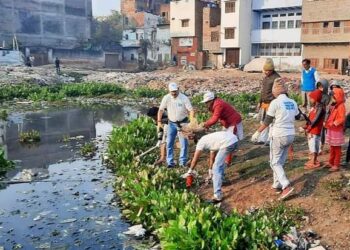 विश्व वेटलैंड दिवस : वाराणसी में नाले से तबाह हो रहा कुबेर का बनाया धनेसरा तालाब