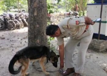 घर बंदकर चला गया मालिक, पड़ोसियों ने रोटी-पानी देकर आठ माह तक बचाई जेनी की जिंदगी