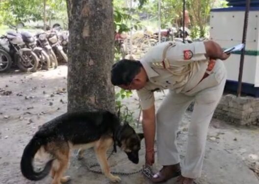 घर बंदकर चला गया मालिक, पड़ोसियों ने रोटी-पानी देकर आठ माह तक बचाई जेनी की जिंदगी