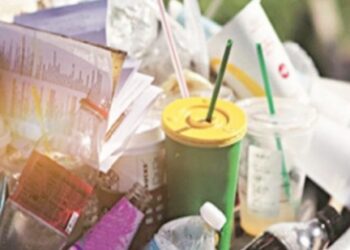 Single Use Plastic