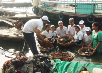 वाराणसी में नमामि गंगे राष्ट्रीय स्वच्छ गंगा मिशन के कार्यकारी निदेशक तकनीकी ने की गंगा तलहटी की सफाई