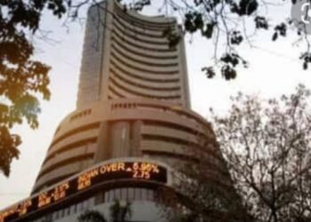 stock market