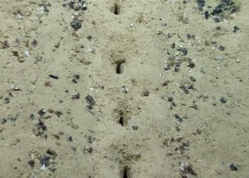 Atlantic Ocean Holes