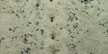 Atlantic Ocean Holes