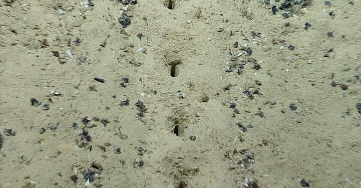 Atlantic Ocean Holes