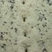 Atlantic Ocean Holes