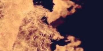 burnt alive in assam