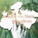 mp municipal election