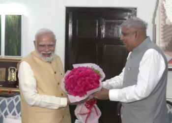 Vice President Election