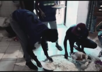 food cooked in toilet