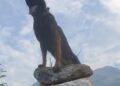Zoom Dog