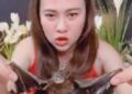 Bat Soup
