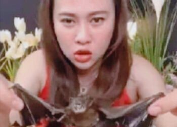 Bat Soup