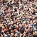 Population Report 