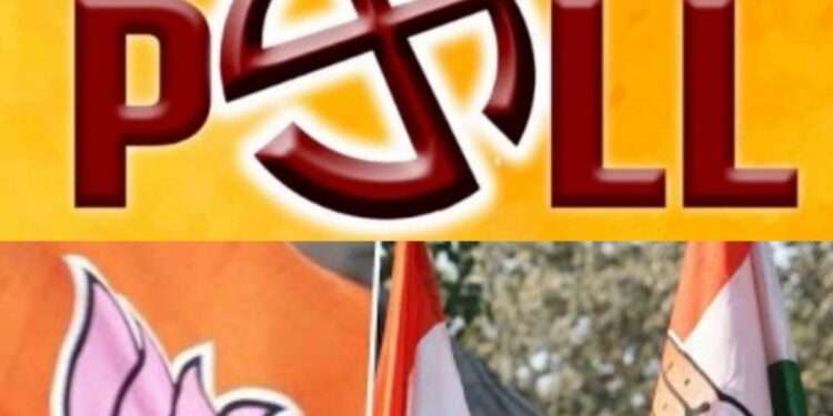 Exit Poll Results 2022