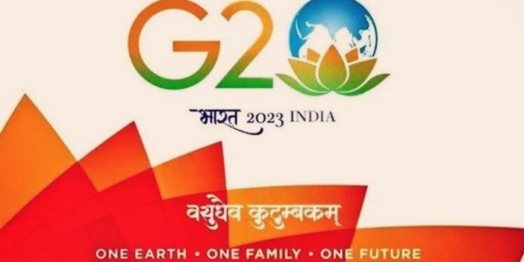 G20