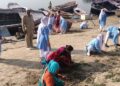 Sant Nirankari Mission