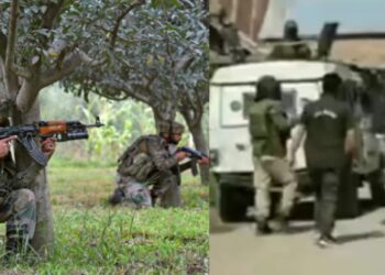 terrorists killed