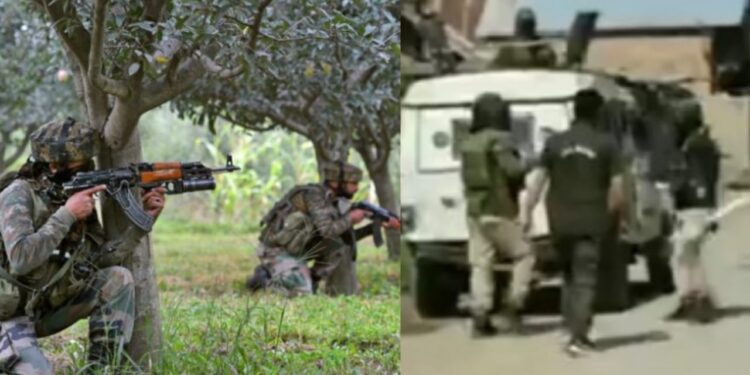 terrorists killed