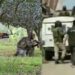 terrorists killed