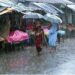 Monsoon Rain