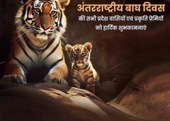 International Tiger Day