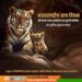 International Tiger Day
