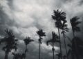 monsoon 2023