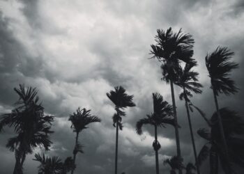 monsoon 2023