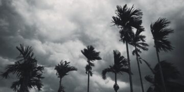 monsoon 2023