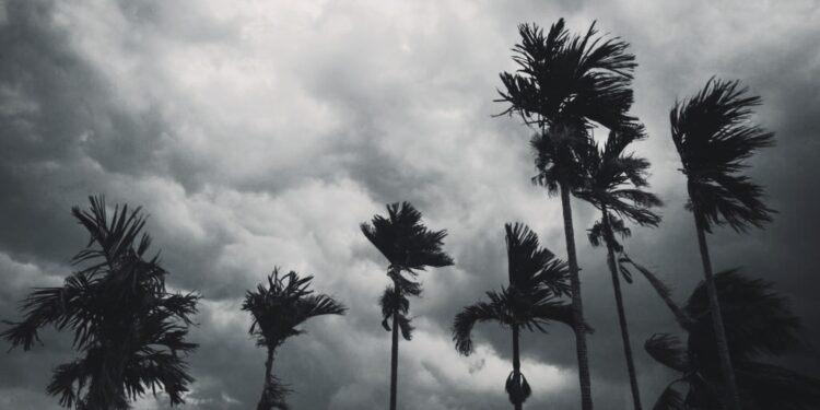 monsoon 2023