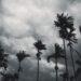 monsoon 2023