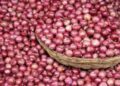 Onion price