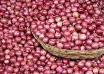 Onion price