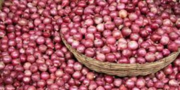 Onion price