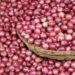 Onion price