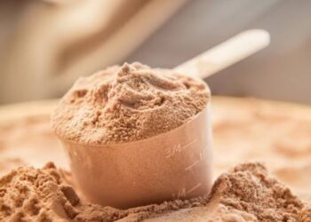 protein supplement
