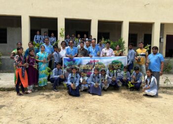 tree planting