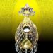 Buddha Bone Darshan