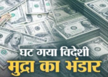foreign exchange reserves