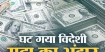 foreign exchange reserves