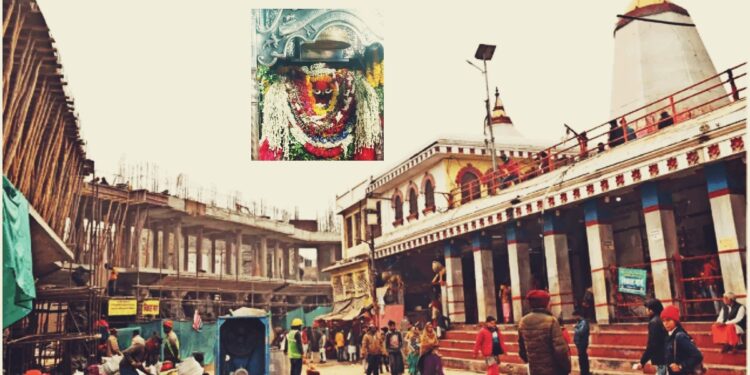 नववर्ष पर छह लाख से ज्यादा श्रद्धालु विंध्यधाम में नवाएंगे शीश