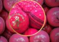 adelaide test 2024