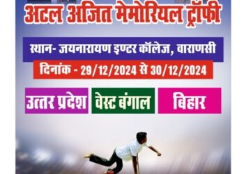 disabled cricket competition