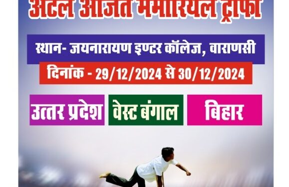 disabled cricket competition