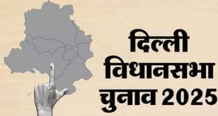 Delhi election campaign