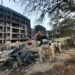 Ahmedabad plane crash