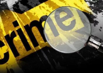 Conspiracy to murder professor