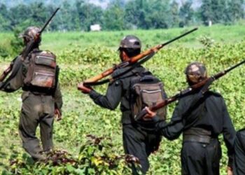 Maoist organization