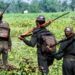 Maoist organization